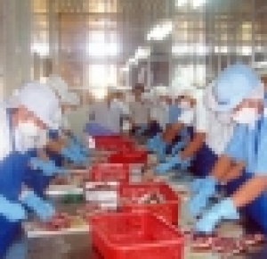 Xuất khẩu lao động